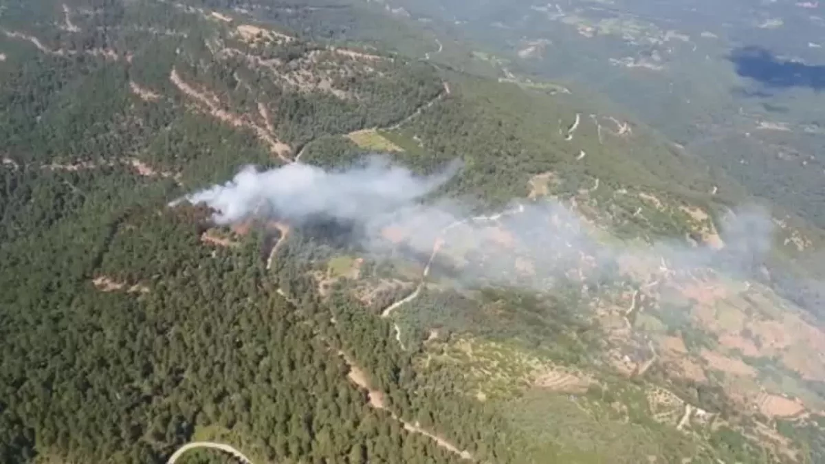 Son dakika haberleri! İzmir Kemalpaşa’da Çıkan Orman Yangını Kontrol Altına Alındı