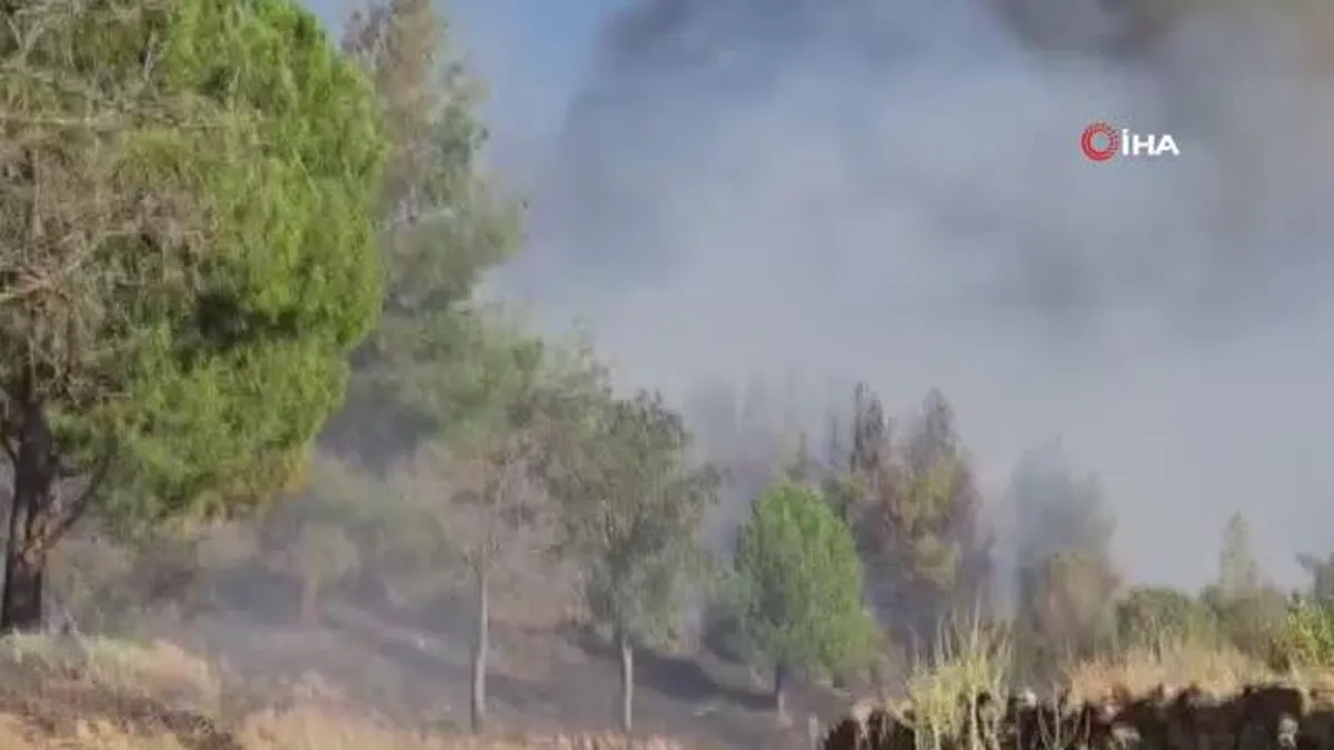 Aydın’da orman yangınına havadan ve karadan müdahale ediliyor
