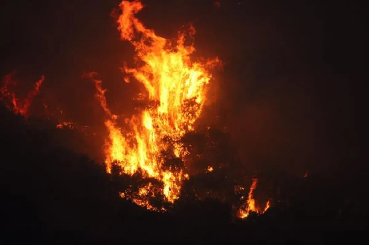 Aydın’da yangın mı çıktı, nerede? (VİDEO) 26 Temmuz Salı Aydın Söke’de yangın mı oldu, yangın nerede çıktı, yangın söndürüldü mü? Son gelişmeler!