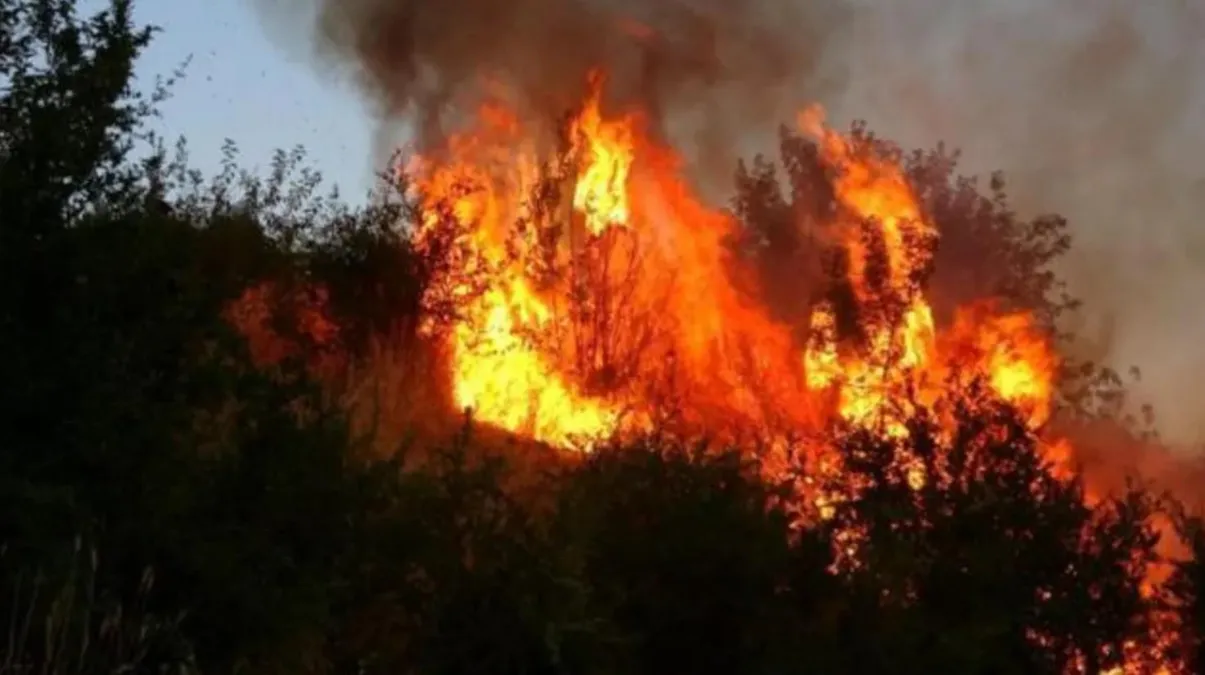 Datça yangın söndürüldü mü? (VİDEO) 13 Temmuz Datça yangın devam ediyor mu, söndürüldü mü? Datça yangını son durum!