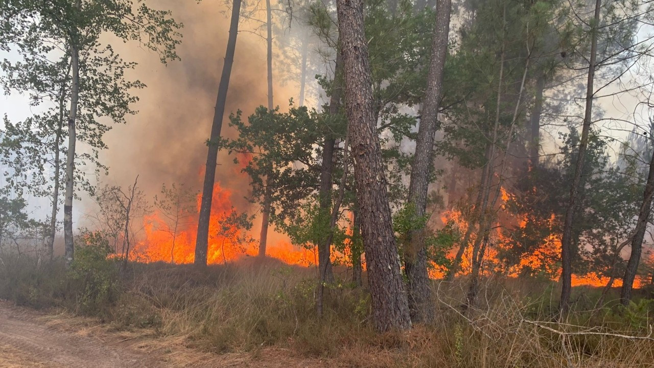 Fransa’da 14 binden fazla hektarlık yeşil alan yandı