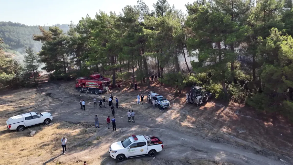 İzmir haber: Buca Belediyesi’nden Orman Yangınlarına Karşı Seferberlik