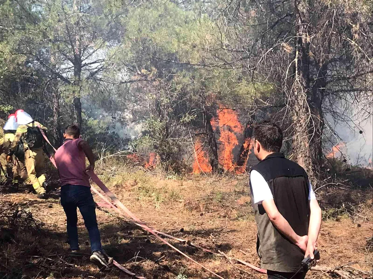 Manisa Gördes’teki orman yangınında ekipler seferber oldu
