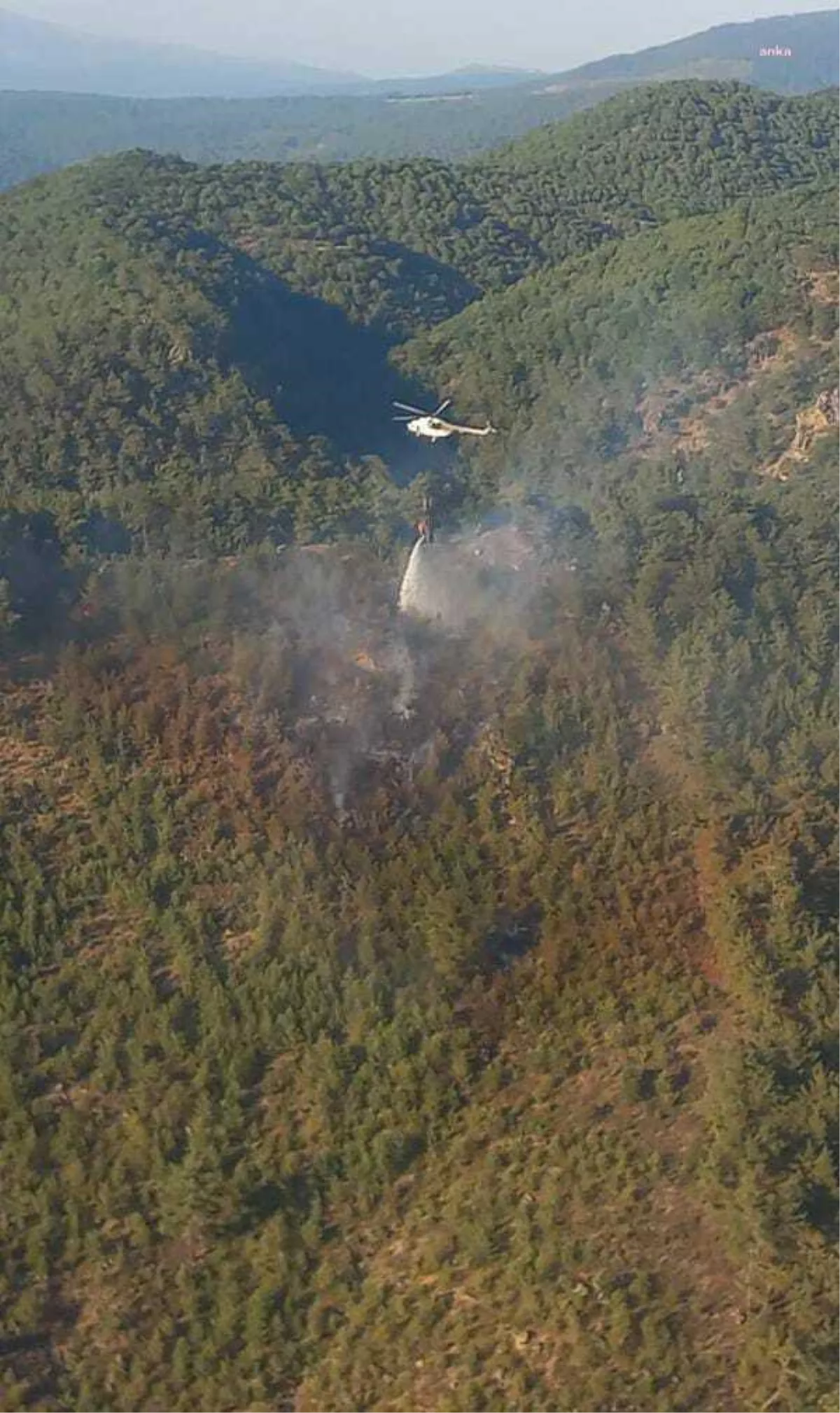 Son dakika haber: İzmir Dikili ve Bergama’daki Yangınlar Kontrol Altına Alındı