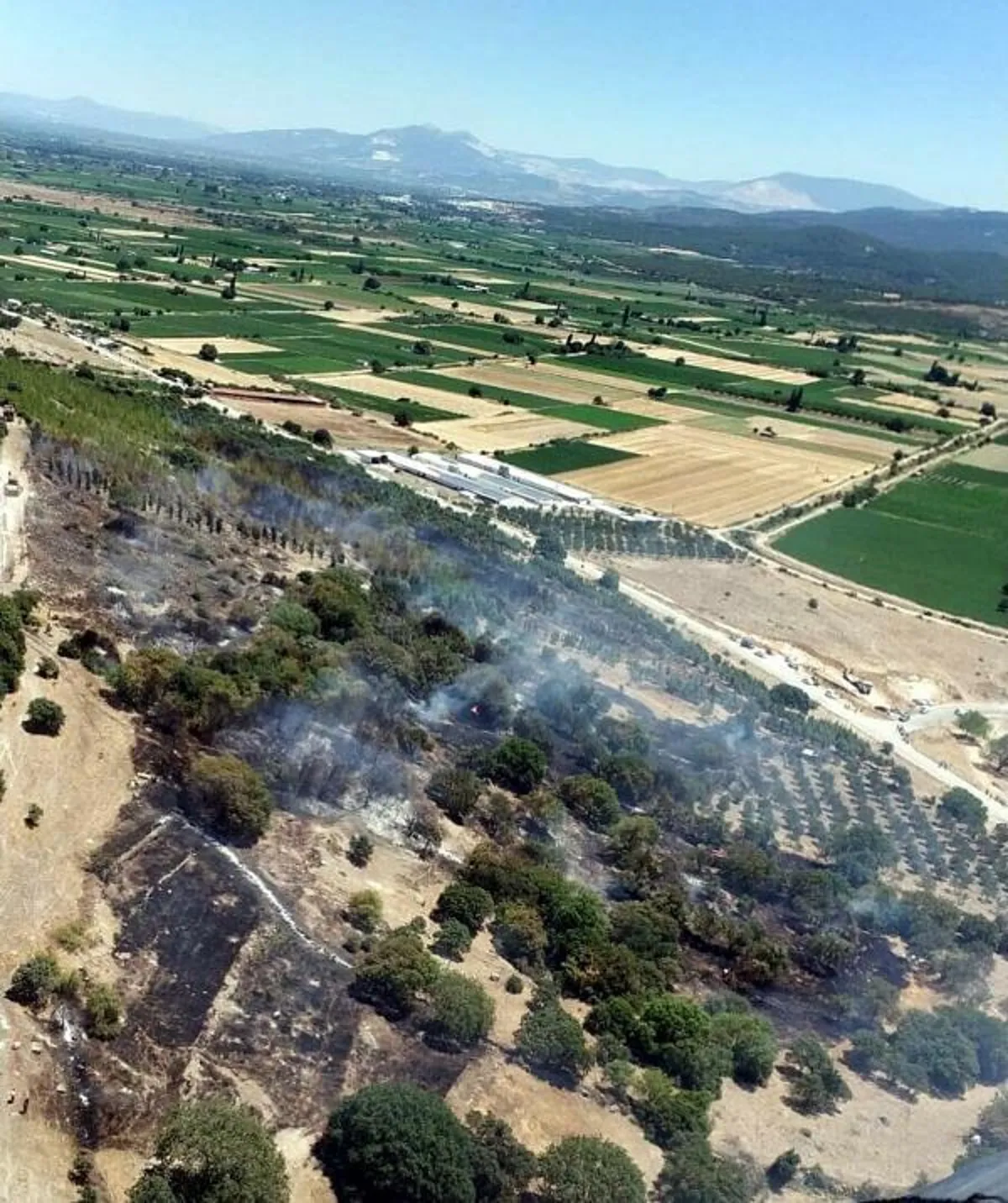 Tarım arazisinde çıkan yangın, ağaçlandırma sahasına sıçradı (2)
