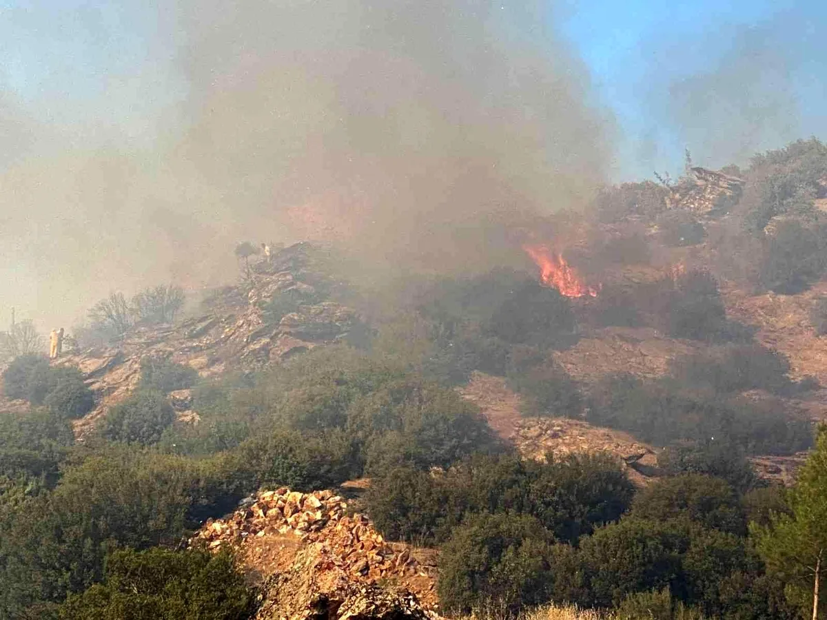 Uşak’taki yangınında 5,5 hektar alan kül oldu