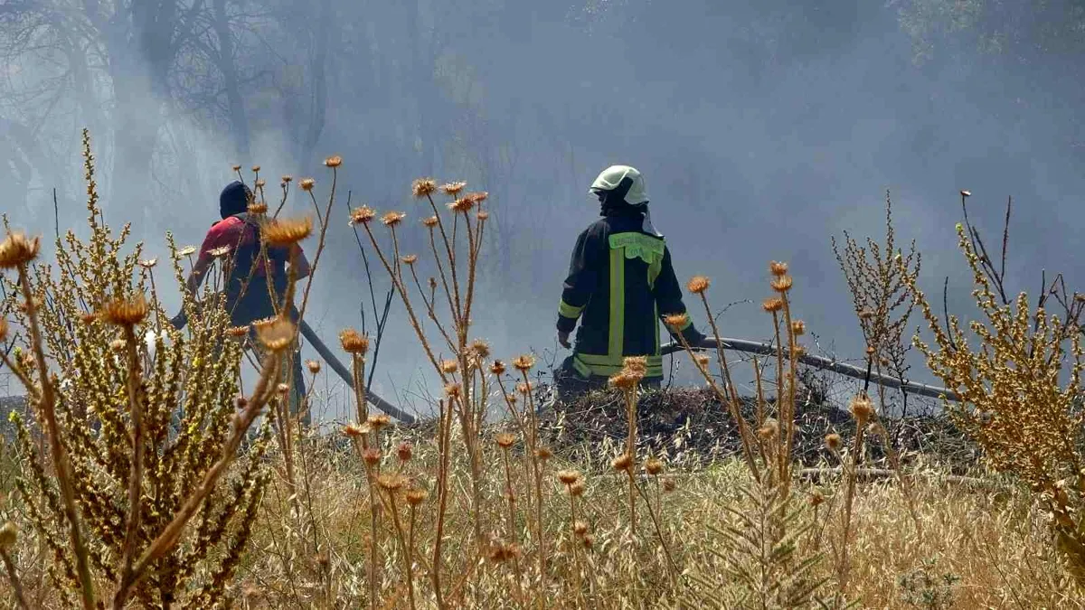 Son dakika haberi | Örtü yangınında arı kovanları ve ağaçlar küle döndü