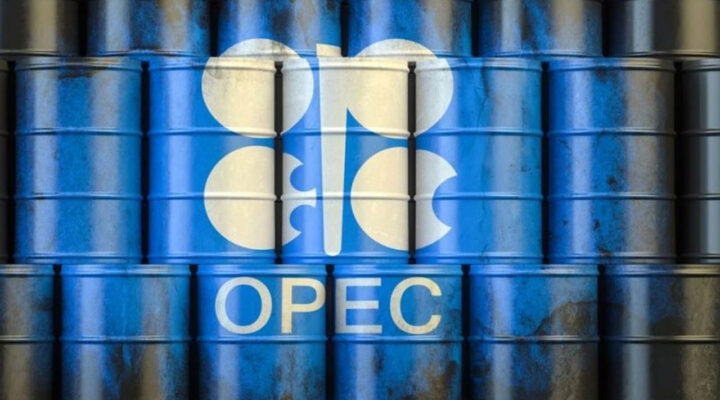OPEC+ delegeleri Şubat üretim tahminini açıkladı