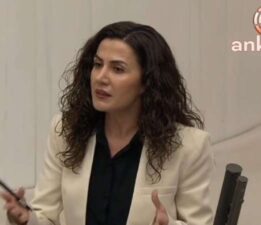 DEM Partili Boz’dan ‘asgari ücret’ tepkisi: Milyonların mahkum edildiği bir ölüm harçlığıdır