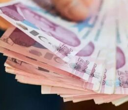 Merkezi yönetim 2025 bütçesi: Hangi kurumlar ne kadar pay aldı?