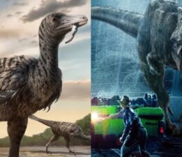 ‘Jurassic Park’ gerçek oldu: Dinozorların hiyerarşisi yeniden yazılıyor