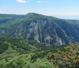 Kazdağları’nda Cengiz ve Nurol’un yıkımına ‘Danıştay’ onayı