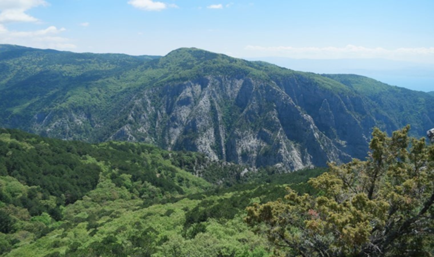 Kazdağları’nda Cengiz ve Nurol’un yıkımına ‘Danıştay’ onayı