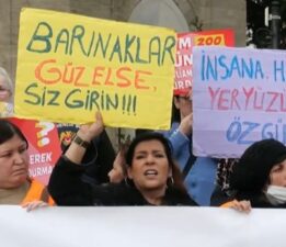 Yaşatacağız Platformu’ndan sahipsiz hayvanlarla ilgili kanuna karşı protesto