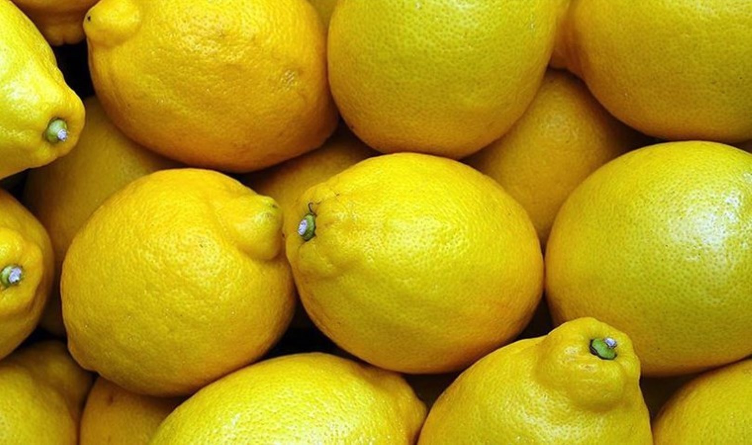 Bakanlık’tan açıklama: Limon ihracatı yasağı ertelendi!