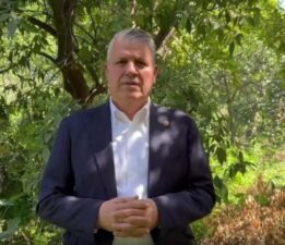 CHP’li Barut’tan limon ihracatının durdurulmasına tepki: “Limondan mandalinaya acilen tüm narenciye üreticisini destekleyin”