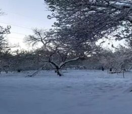 Malatya’da zirai don etkili oldu: ‘6 Şubat sonrası ikinci afet!’