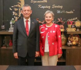 CHP ‘Hayvan Bakımevleri İzleme ve Değerlendirme Komisyonu’ kurdu!