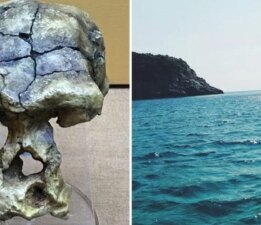 Madura Boğazı’nda keşfedildi: 140 bin yıllık kafatası tarihi değiştiriyor