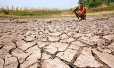 TZOB Genel Başkanı Bayraktar kuraklıktan zarar gören çiftçiler için destek istedi