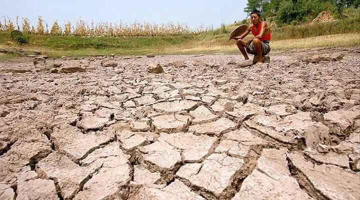 TZOB Genel Başkanı Bayraktar kuraklıktan zarar gören çiftçiler için destek istedi